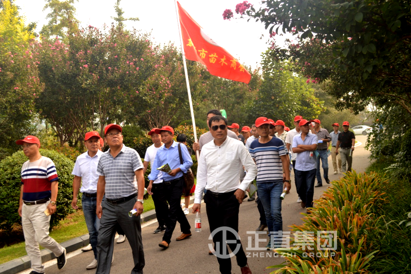 pg电子游戏试玩(中国)官方网站