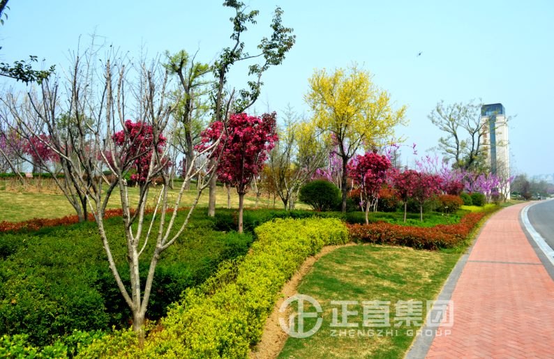 pg电子游戏试玩(中国)官方网站